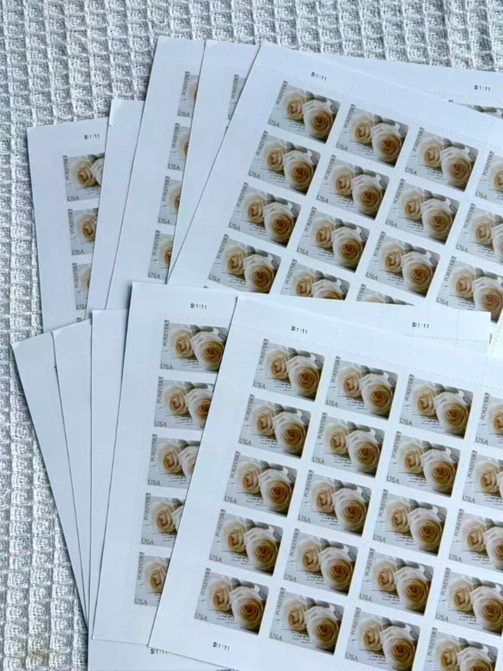 10 Books Forever Rose Stamp Sheet - Cream Yellow Floral Design